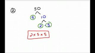 Prime Factorization