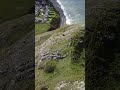 Little Orme, Llandudno #djimini2 #littleorme #northwales #llandudno #dronestuff