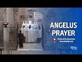Angelus Prayer at the Basilica of the Annunciation | Jun 06, 2026