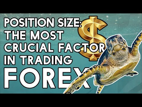 Forex Position Size! The most crucial factor in trading!