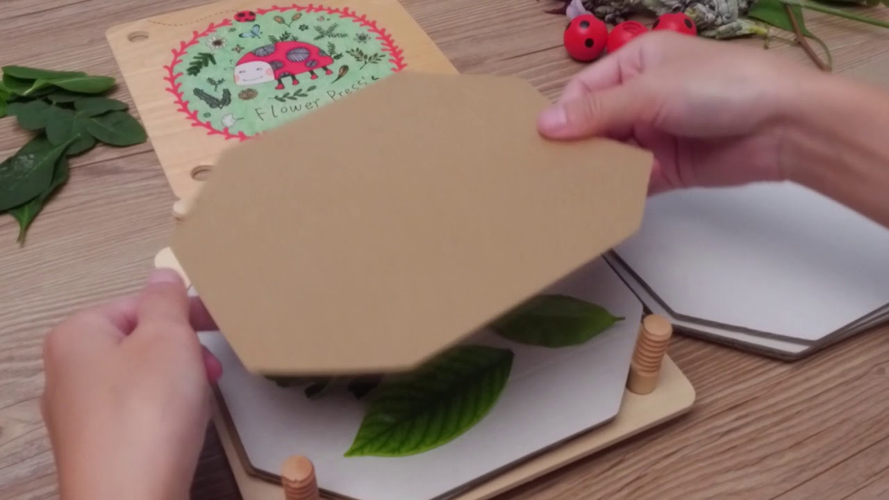 BeBe Kids Concept Store Mideer Flower Press YouTube