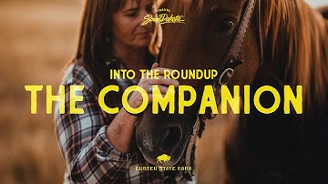 Into the Roundup | The Companion | Presented by Travel South Dakota