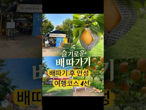 배따기 후 안성 여행 코스 4선