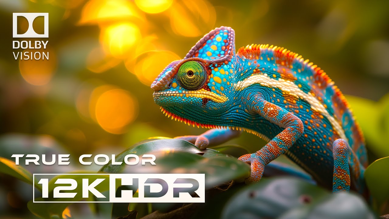 Real 12k HDR Dolby Vision