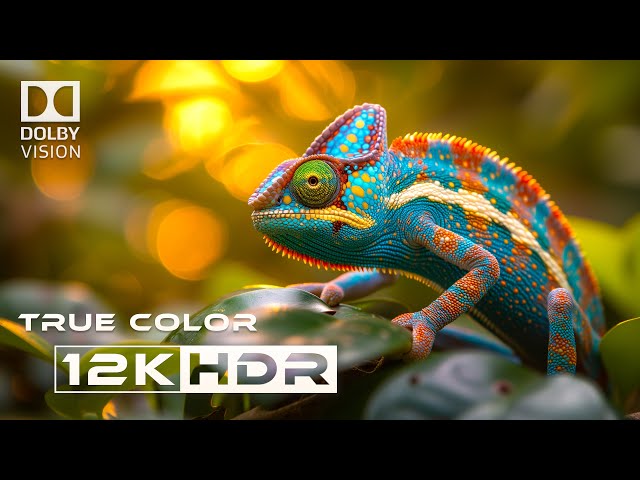 Real 12k HDR Dolby Vision class=