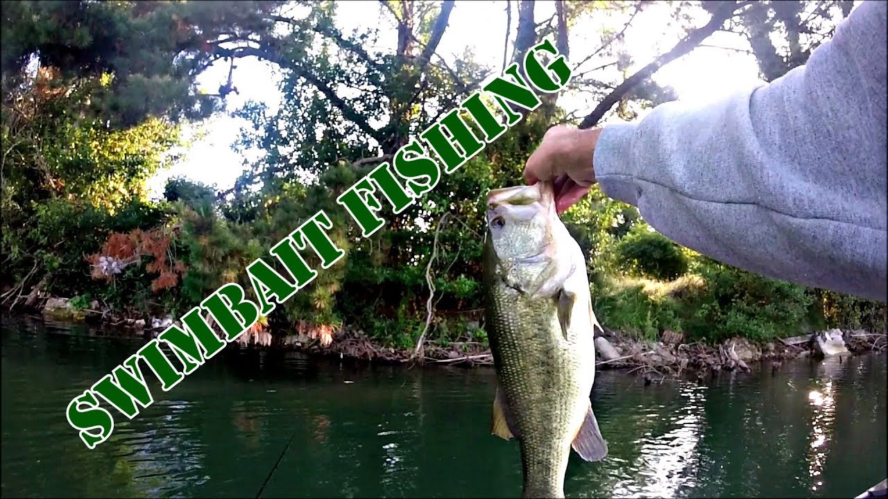 Casting & skipping swimbaits for BIG BASS The Bass Factory / Tenuta