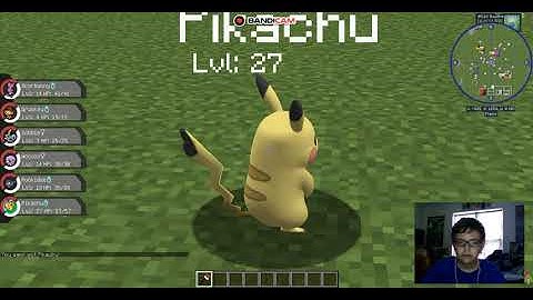 how to get custom textures in pixelmon