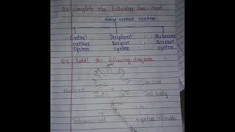 setu bridge course std 10th science activity sheet/day (part=2) answers/solution, diagram #short