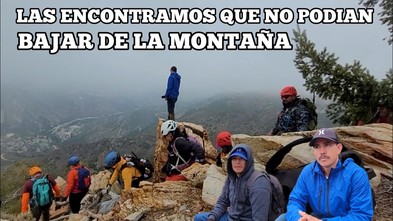 Así Los Encontramos Vienen Perdidos En El Espinero