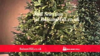 Shop for Best and Most Realistic Christmas Trees at Balsam Hill 30s