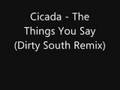 Cicada - The Things You Say (Dirty South Remix)