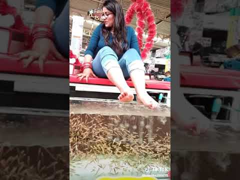 موضه تنظيف الاقدام عن طريق الاسماك الصغيره