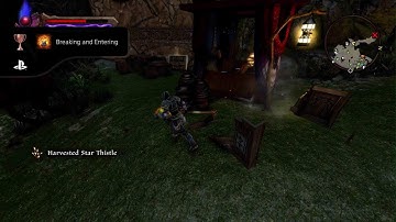 Breaking and Entering Trophy Kingdoms of Amalur Re Reckoning #Shorts #PS5