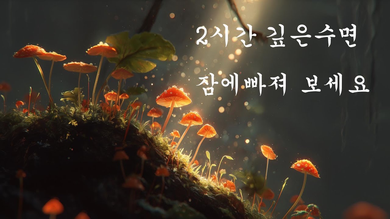 2시간에 깊은 수면 잠에 빠져 보세요/Fall into a deep sleep in just 2 hours