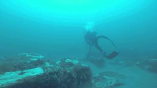 2015 8 Diving