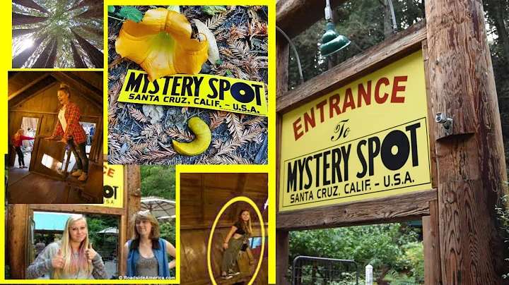 The Mystery Spot | Santa Cruz, California | Indian...