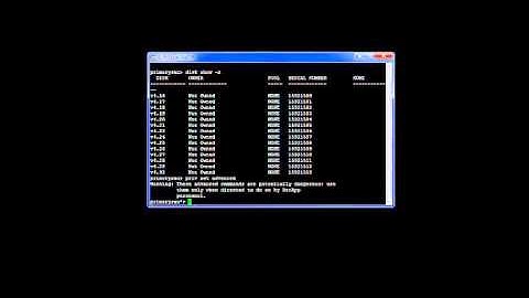 NetApp Disk Assignment
