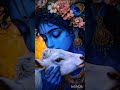 Mere kanha 🙏🏻💙💙#krishna #shortvideo #love
