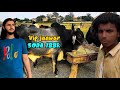 Naseeb ka Sauda 188k | Bakra Eid Bhatta Chowk i-12 Mandi