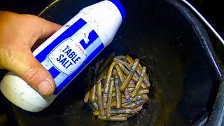 USING TABLE SALT TO EXTRACT RAZOR CLAMS   - Catch & Cook , Coastal Foraging