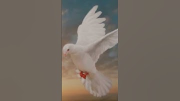 Thumbnail of #music #cover #choir #christian #guitar #song