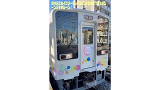 臨時のスカイツリートレイン634型佐野行きにとうきょうスカイツリー駅～久喜間乗車しました！