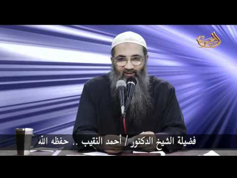 ما تأويل السمك الكثير في المنام