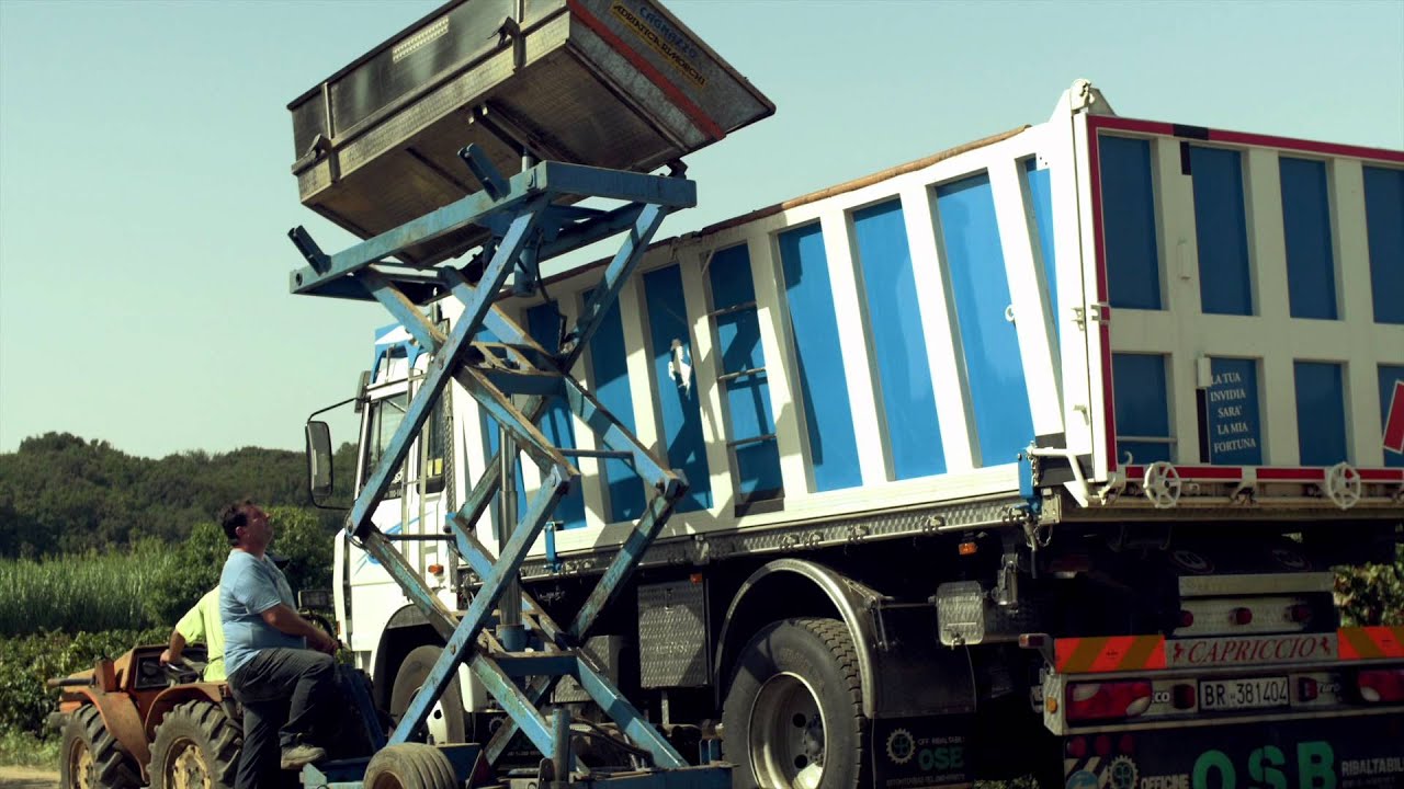 Cantina Sampietrana San Pietro Vernotico Vini del Salento Negroamaro Primitivo Doc Brindisi