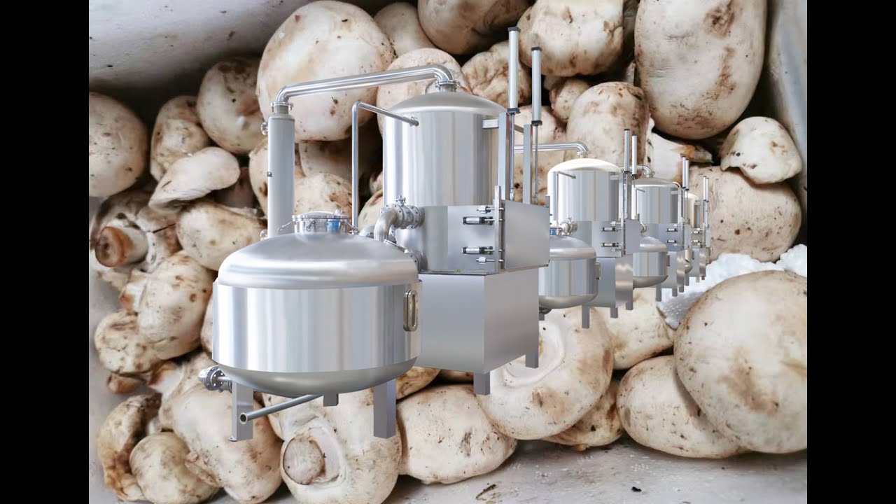 vacuum fried jackfruit chips frying machine YouTube