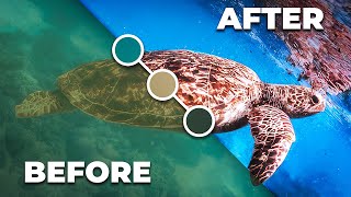 FIX THIS! 3 EASY Ways to Color Correct UNDERWATER Video in Premiere Pro screenshot 4