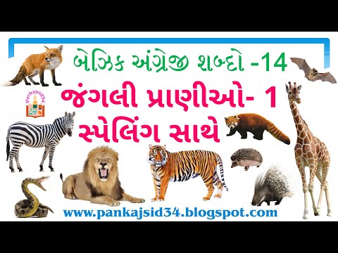 14 જંગલી પ્રાણીઓ 1 સ્પેલિંગ ઉચ્ચાર અર્થ ચિત્રો સાથે | Wild Animals | Basic English Words by Pankaj