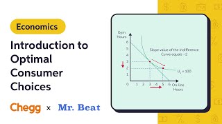 Introduction to Optimal Consumer Choices Ft. Mr. Beat