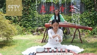 Celebrity Savor the art of Chinese tea-ritual Profile