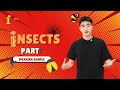 BÀI MẪU SPEAKING PART 1 - INSECTS | SPEAKING SAMPLE by The IELTS Workshop