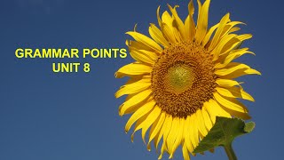 Unit 8 Grammar Summary