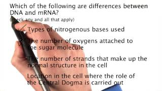 Problem 07 - Tales from the Genome