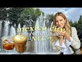 Café Hopping in Mexico's trendiest neighborhood | Roma Norte, Mexico City