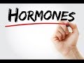 Role of Estrogen and Progesterone Hormone During Pregnancy