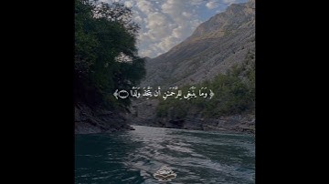 أَن دَعَوۡا۟ لِلرَّحۡمَـٰنِ وَلَدࣰا || تلاوة خاشعة لفضيلة الشيخ ماهر المعيقلي #دار_المتقين #quran 🤍