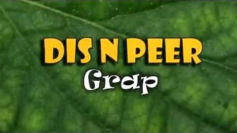 Dis n Peer Grap