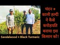 चंदन और काली हल्दी ने कैसे करोड़पति बनाया इस किसान को || Black Turmeric + Sandalwood Plantation