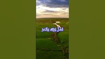 سوره الكوثر بصوت الشيخ ياسر الدوسري  #قرآن #قران_كريم #سوره_الكوثر