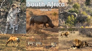 Pilanesberg National Park Animal Safari & Bakubung Bush Lodge | South Africa Episode 02