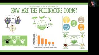 UMN Pollinator Education Toolkits