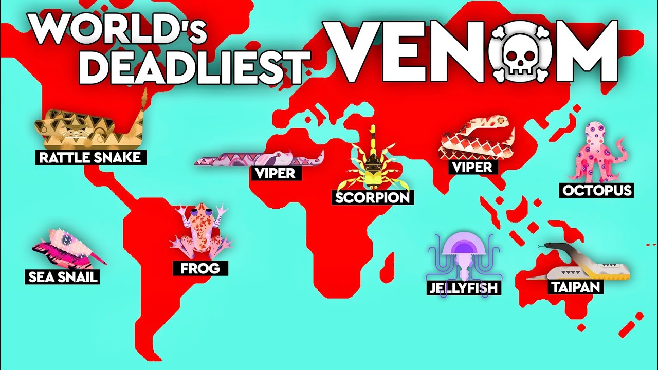 What’s The Most Venomous Creature Of All Time? DEBUNKED - YouTube