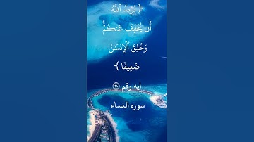 ايه رقم ٢٨ من سورة النساء.. بصوت الشيخ ابوبكر الشطرى