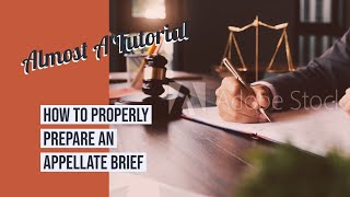 How to Survive Your First Appeal; In Re C.S., 2021 IL App (3d) 200328-U