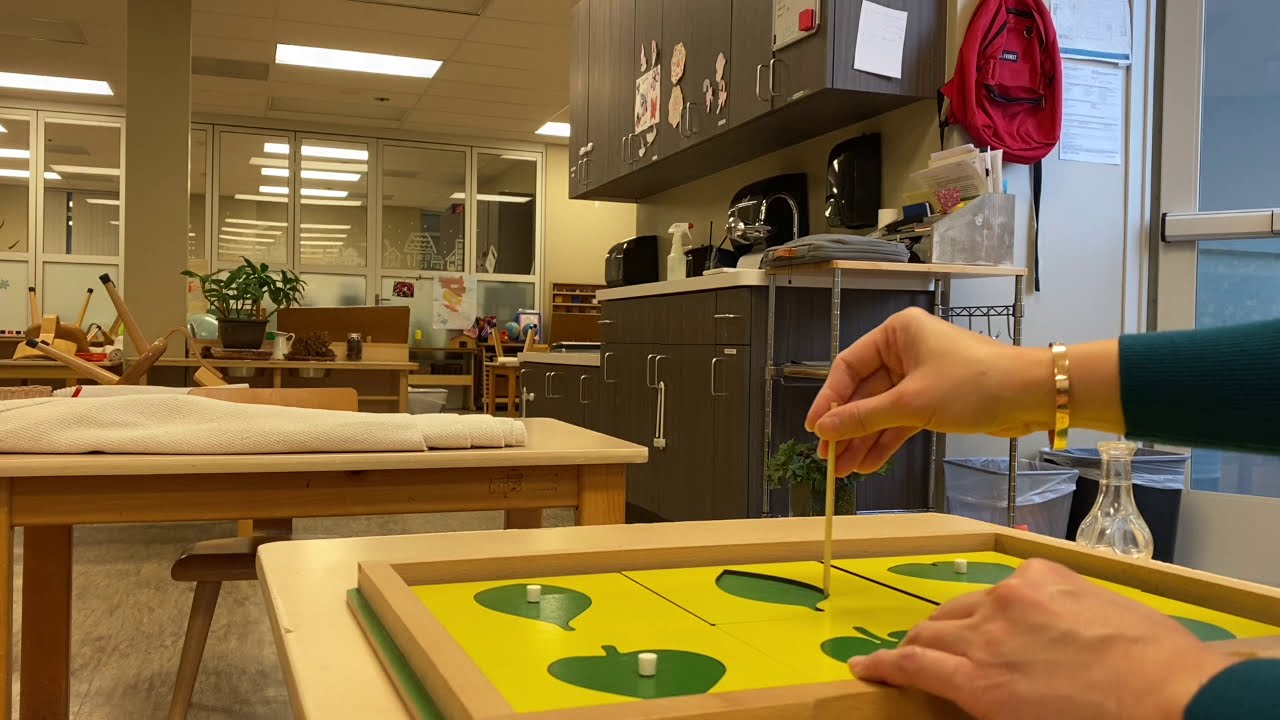 Montessori Botany Presentation Matttroy