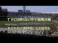 熱闘甲子園:TVには映らない甲子園舞台裏 お立ち台で過呼吸になる球児も