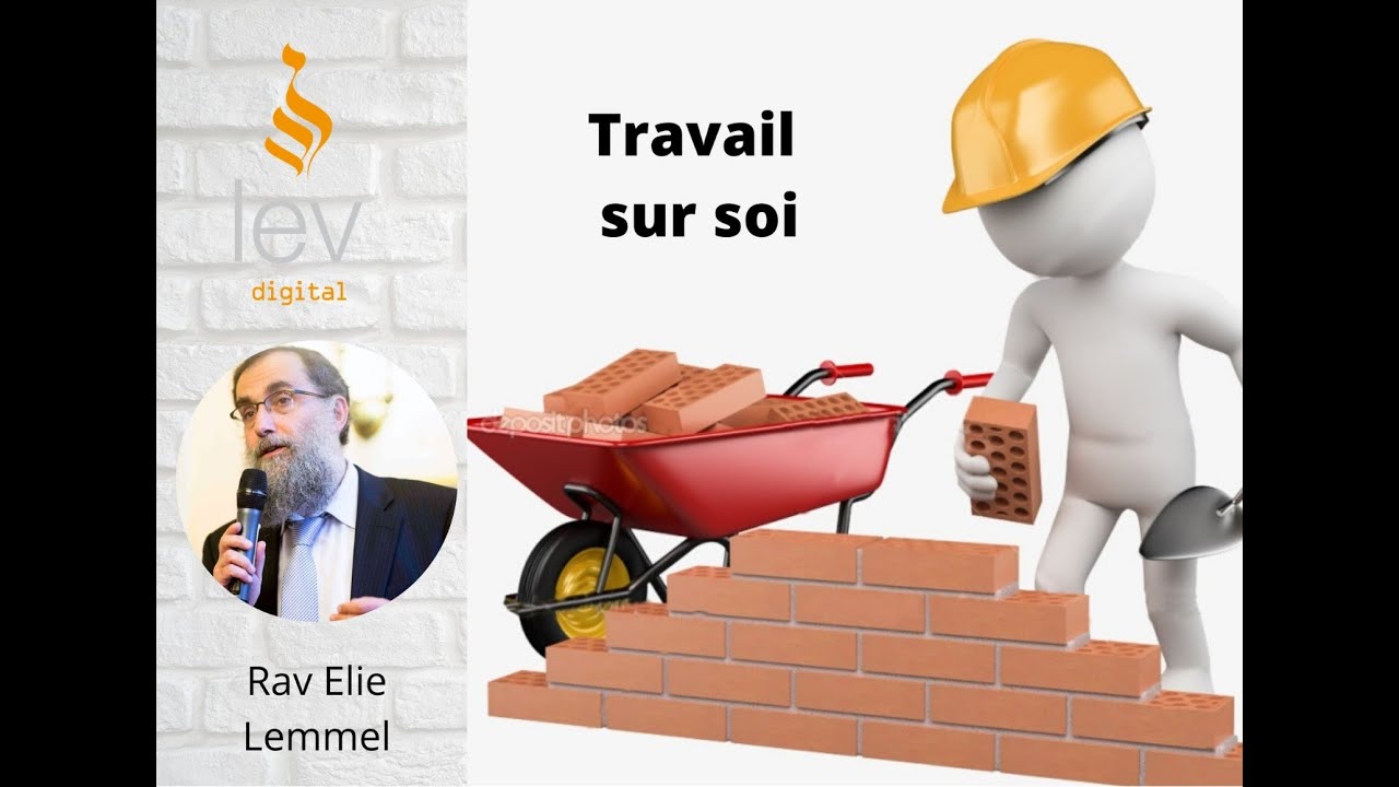 Travail sur soi : Pourquoi sommes nous ingrats - Partie 2 - Cours 16 - Rav Elie Lemmel